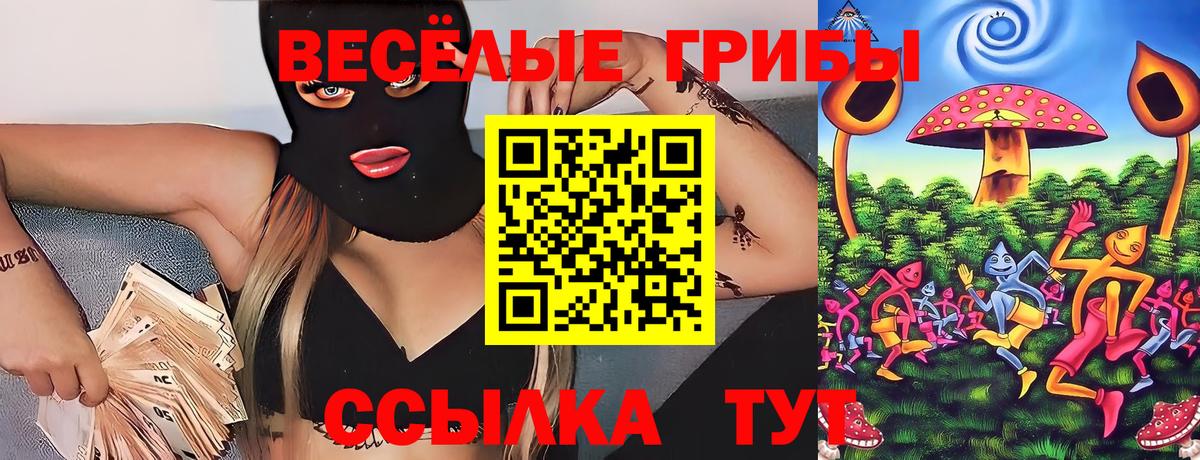 Похвистнево  Псилоцибиновые грибы Psilocybe  Вход с VPN  Галлюциногенные грибы Psilocybe 